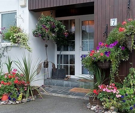 Guesthouse Topos St Austell Buitenkant foto